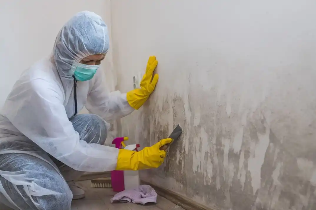water damage restoration service Island Station